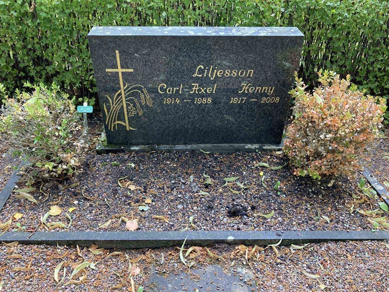 Hautatunnus: Kärn ga pers    20-21