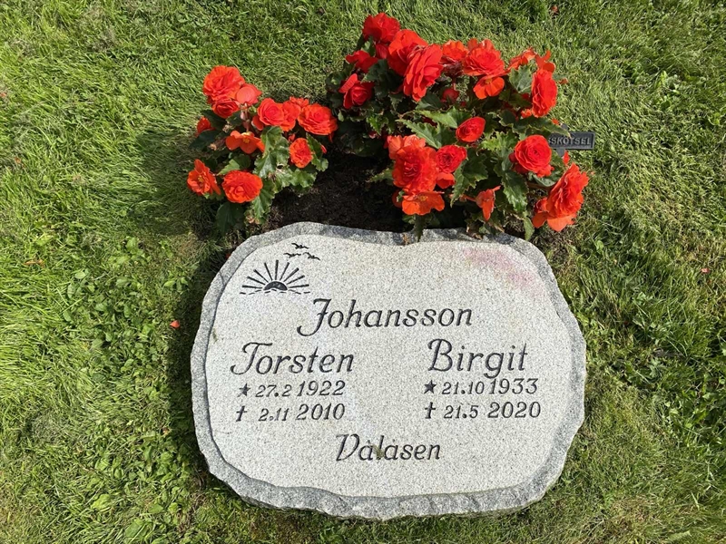 Grave number: G 07 118-119