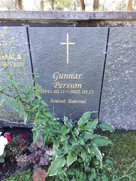 Hautatunnus: GK U 4   460