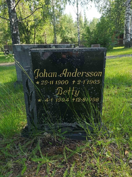 Hautatunnus: NK 02    25