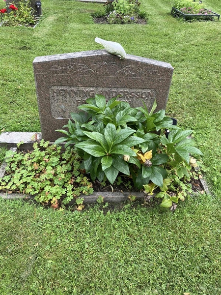 Grave number: 1 02    50