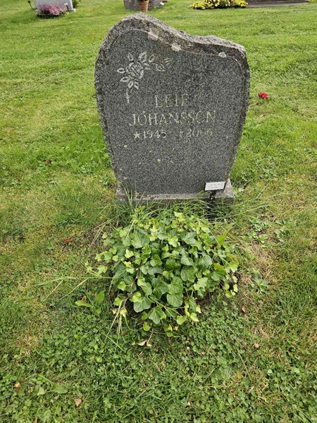 Grave number: Fr 8   133