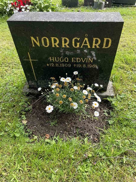 Grave number: N 4 2   268b