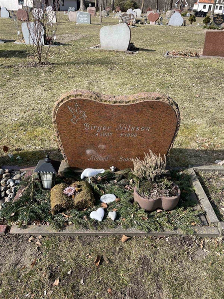 Grave number: VV 1   519