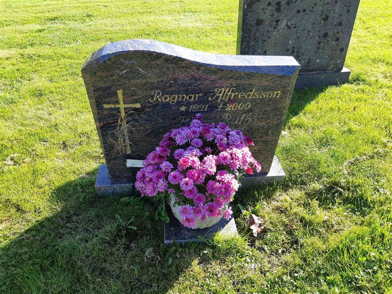 Grave number: Fr 8   218-219