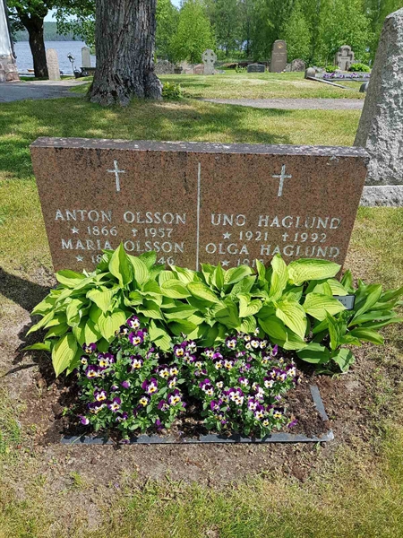 Grave number: kö 01 01    64-66