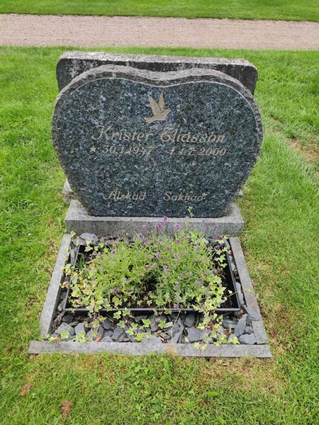 Grave number: VK K   375, 376