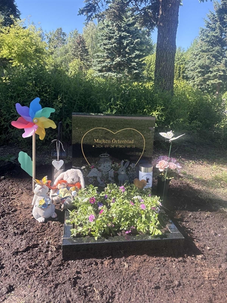 Grave number: 1 A2    25-26