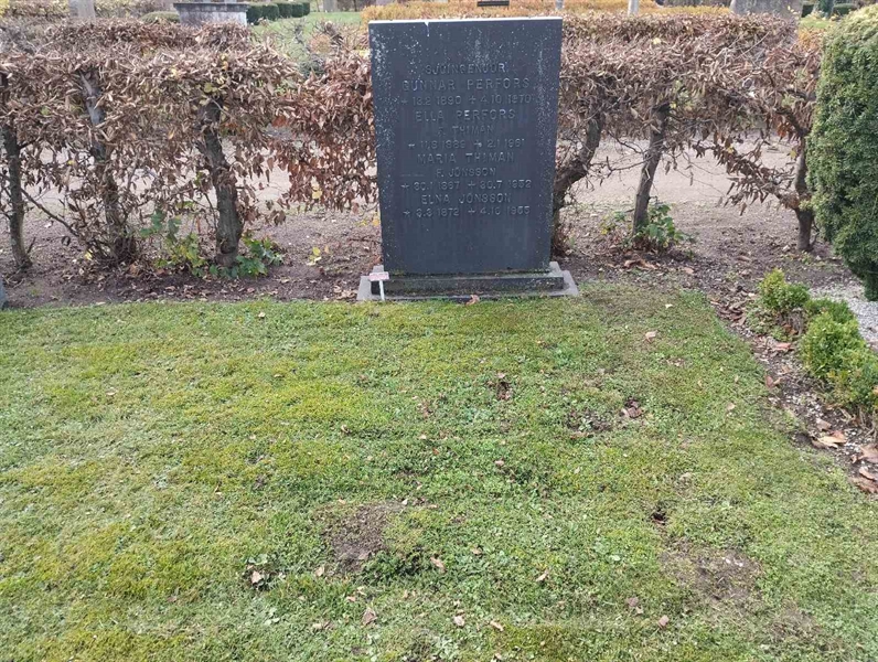 Grave number: Ö 31y     5a, 5b, 5c