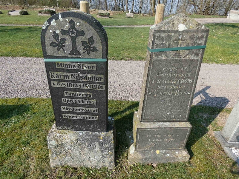 Grave number: EL 2   631