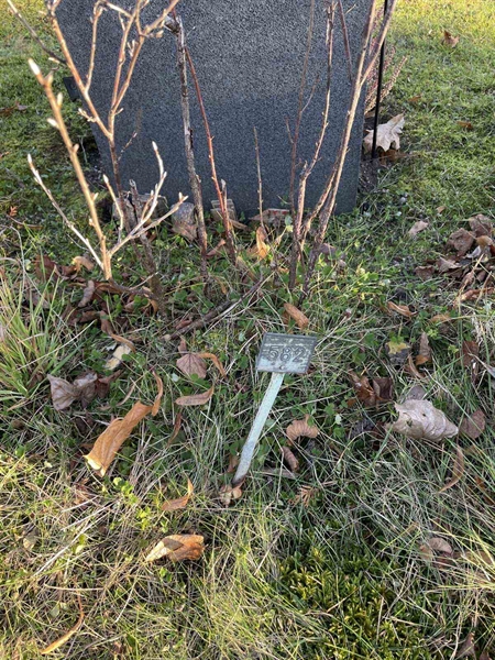 Gravnummer: GK A 3   582