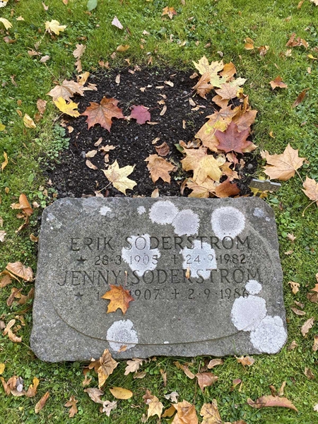 Hautatunnus: 1 H   332