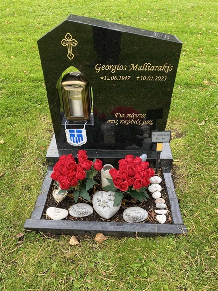 Hautatunnus: 2 C   313-314