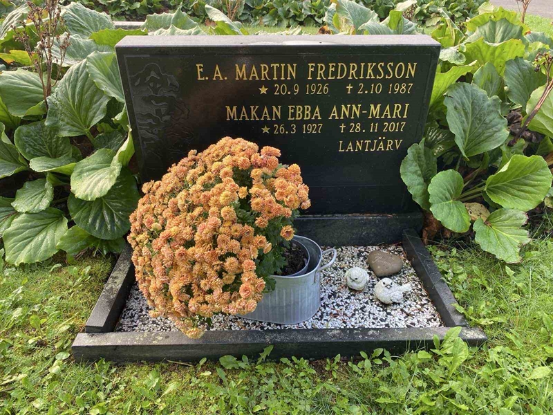 Grave number: 3 11 125