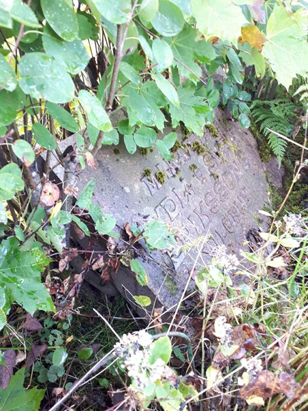 Hautatunnus: NK F B    74