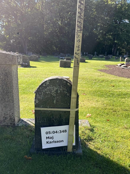 Hautatunnus: 05 04   348