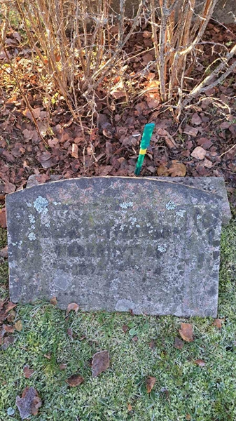 Gravnummer: 6 05     36