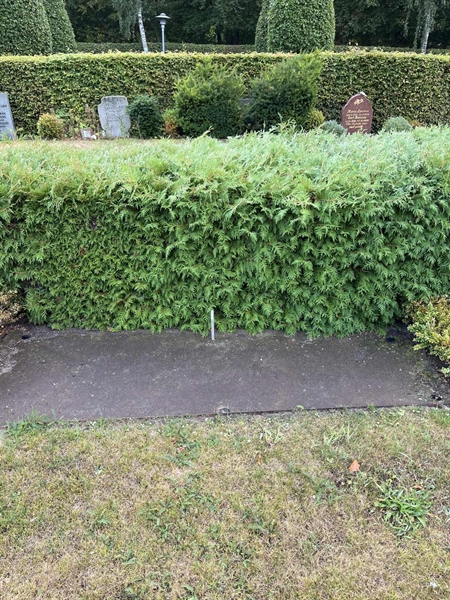 Grave number: NK XIV    82