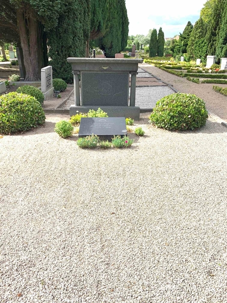 Grave number: SH 66   243