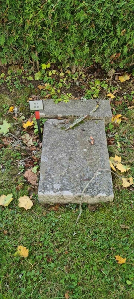 Grave number: M V   22, 23