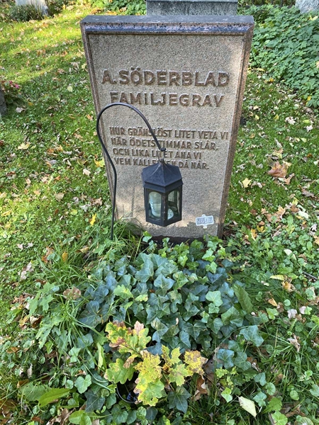 Hautatunnus: 1 H   446