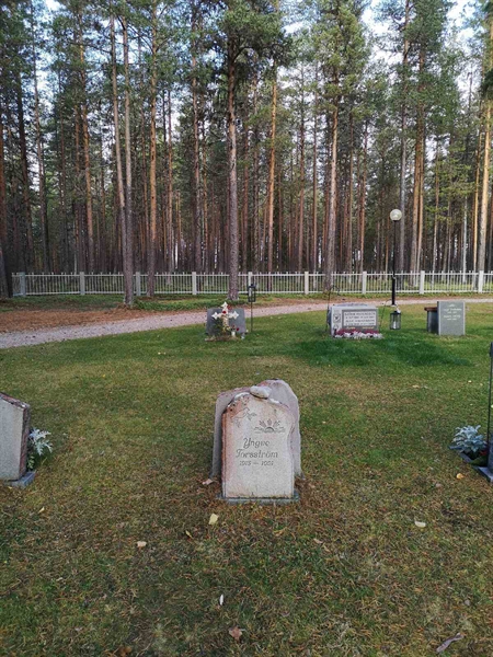 Hautatunnus: VLM 15    92