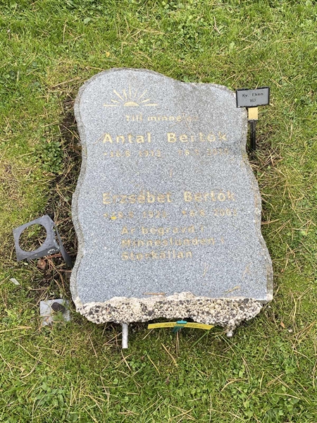 Hautatunnus: 2 E   167