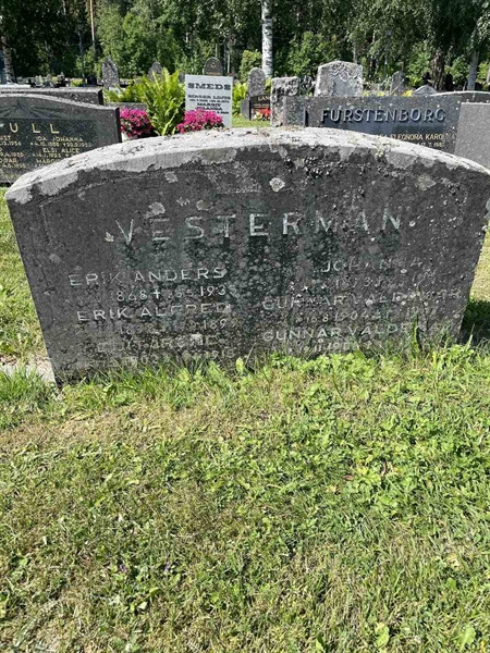 Hautatunnus: N 5 2   161