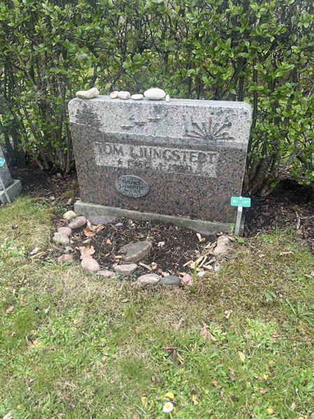 Hautatunnus: 1 3 B1 107