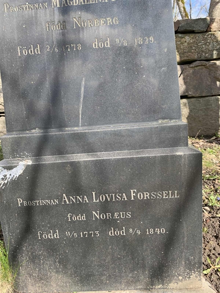 Grave number: 1 GK  246