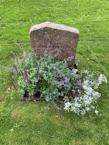 Hautatunnus: 2 C   527-529