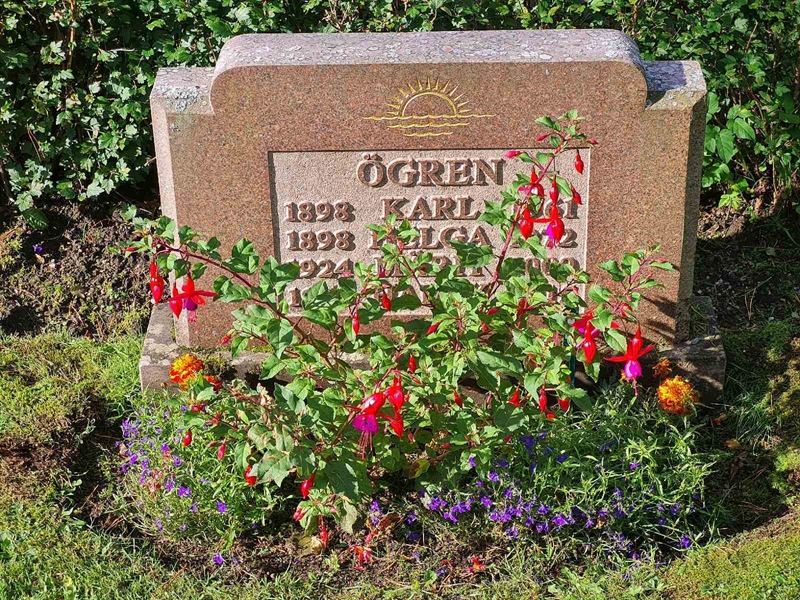 Grave number: Ö IV D   41