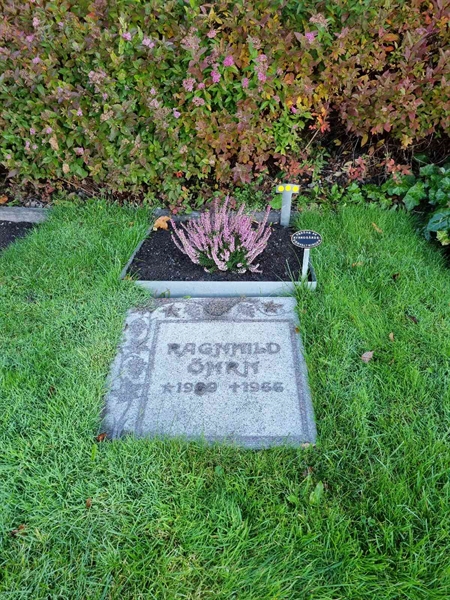 Grave number: 1 01   19