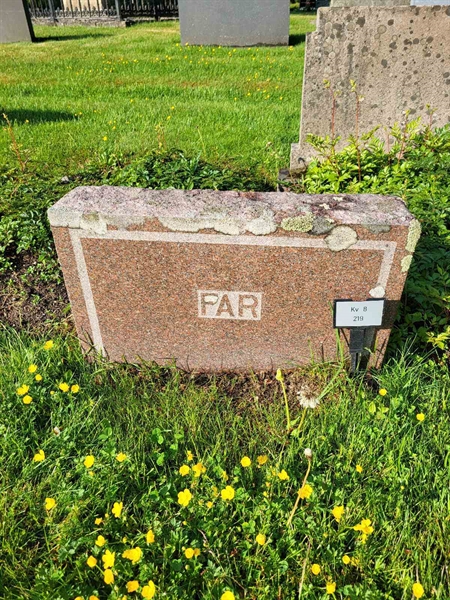 Grave number: kö 01 08   219