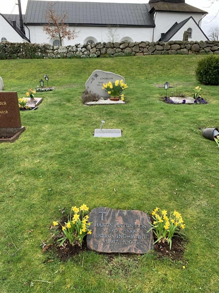 Grave number: SÖ N    83