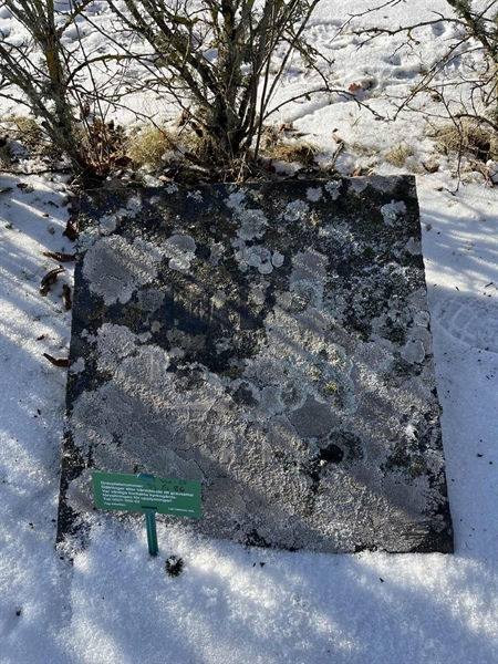 Gravnummer: SJ G    86