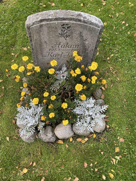 Hautatunnus: 2 C   639