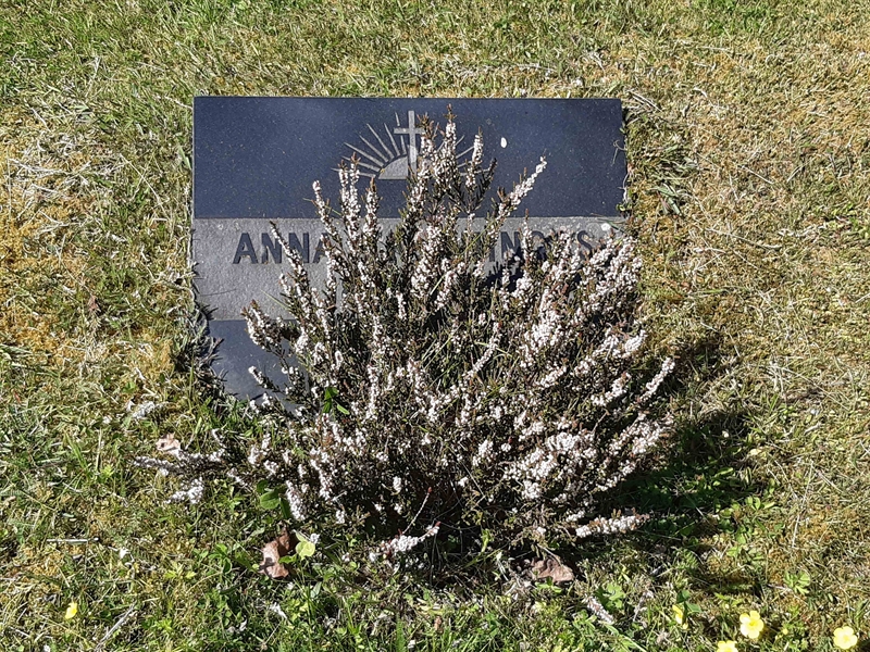 Grave number: JÄ 07    10