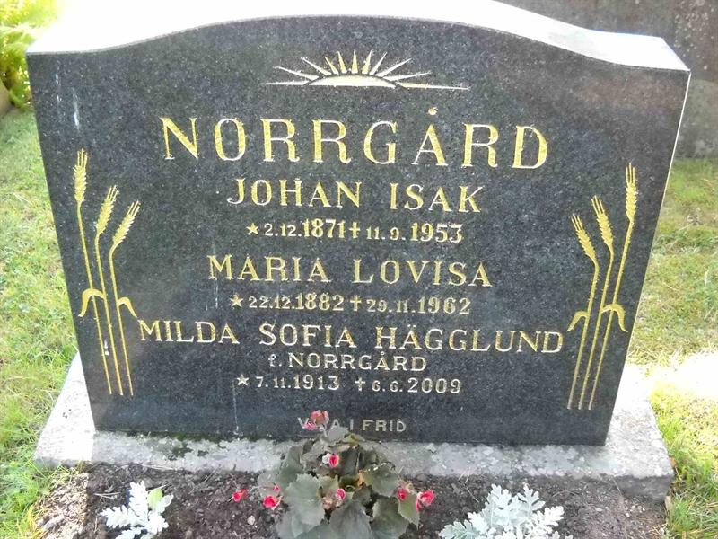 Grave number: 3 MB 17 1-2