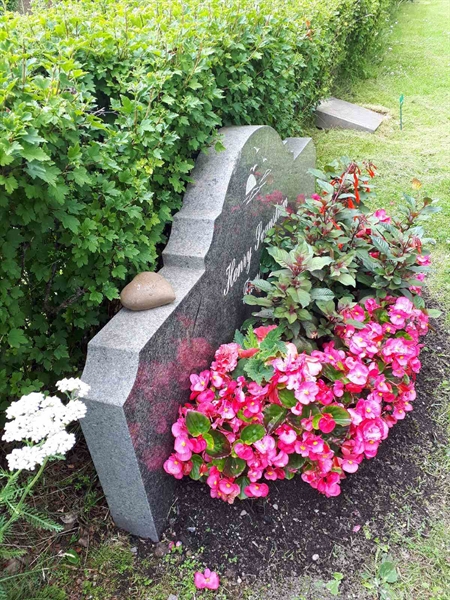 Gravnummer: GK F 5   623