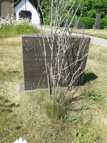 Grave number: TÖ 4   205