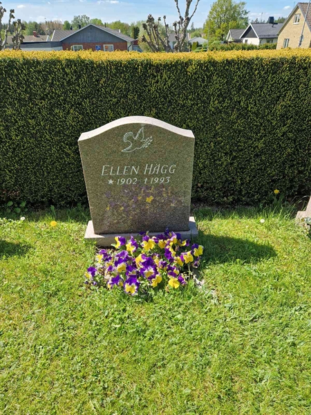 Grave number: 04 D   97