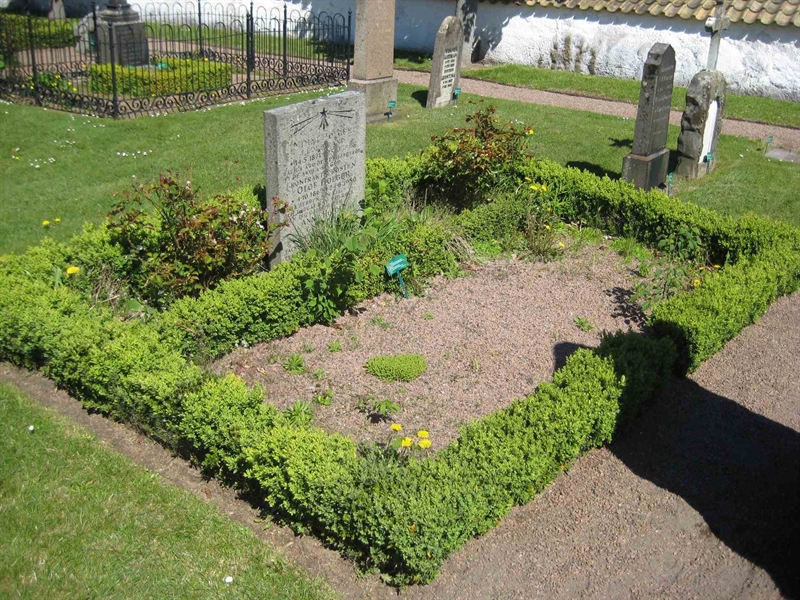 Grave number: BK KV3    99
