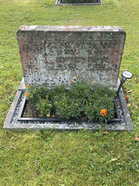Grave number: 4   310-311