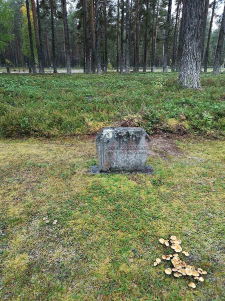 Hautatunnus: VLM 10     7:1