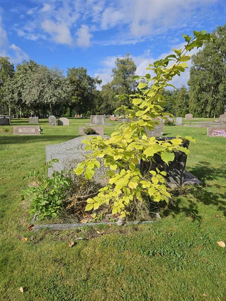 Hautatunnus: Fr 6   170-171