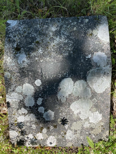 Hautatunnus: 1 13 66, 67