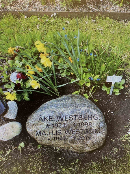 Hautatunnus: 1 NA   721