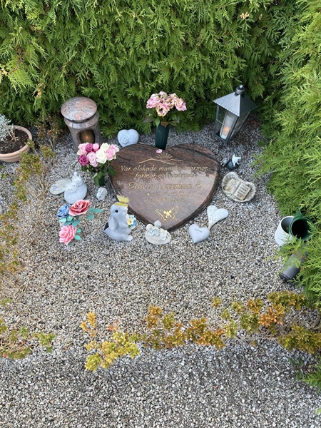Grave number: NK Urn n    19