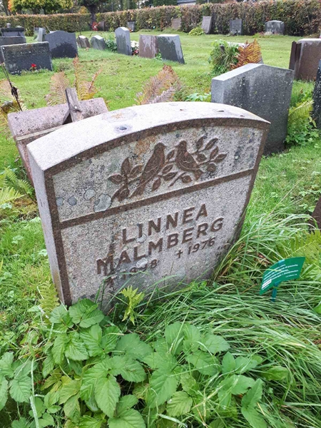 Grave number: NK F B   990